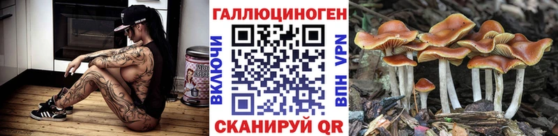 Псилоцибиновые грибы Psilocybine cubensis  магазин продажи   Ликино-Дулёво 